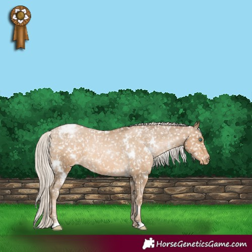 Horse Color:White Spotted Chocolate Palomino Pearl Appaloosa 