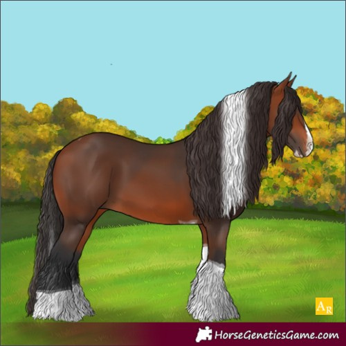 Horse Color:Bay Splash Tobiano 