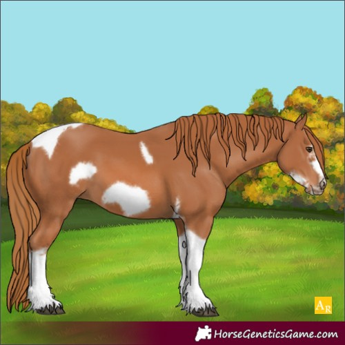Horse Color:Chestnut Tobiano Frame 