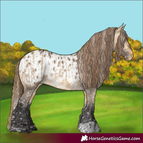 Horse Color:Buckskin Dun Appaloosa  and Buckskin Dun Appaloosa 