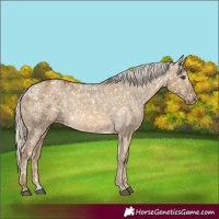 Horse Color:Chocolate Palomino Dun Snowflake Varnish and Chocolate Palomino Dun Snowflake Varnish