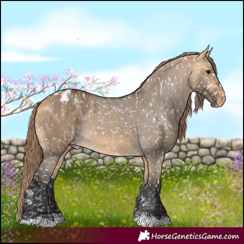 Horse Color:Buckskin Dun Appaloosa  and Buckskin Dun Appaloosa 