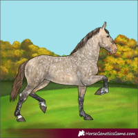 Horse Color:Buckskin Dun Snowflake Varnish and Buckskin Dun Snowflake Varnish