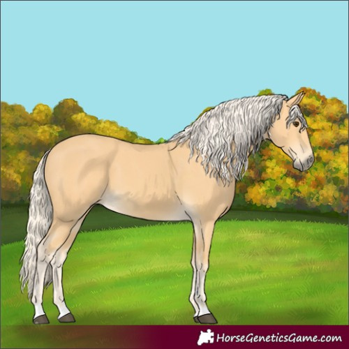Horse Color:Palomino 