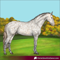 Horse Color:Buckskin Dun Snowflake Varnish  and Buckskin Dun Snowflake Varnish 