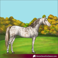 Horse Color:Buckskin Dun Snowflake Varnish  and Perlino Dun Snowflake Varnish 