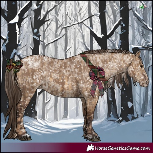 Horse Color:Chocolate Palomino Dun Appaloosa and Liver Red Dun Appaloosa