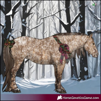 Horse Color:Chocolate Palomino Dun Appaloosa  and Liver Red Dun Appaloosa 