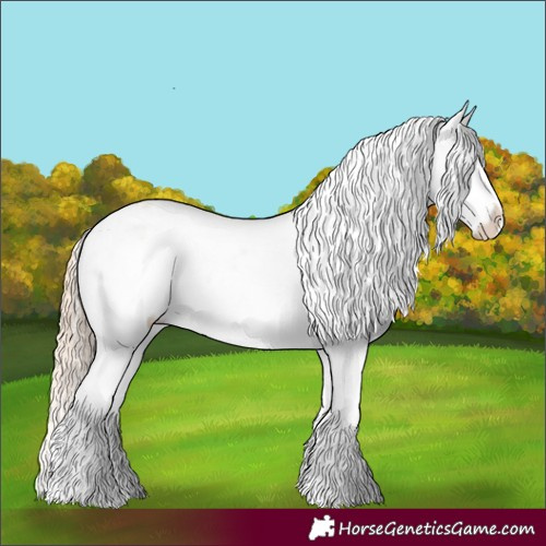 Horse Color:Perlino Dun Appaloosa  and White Spotted Perlino Dun Appaloosa 