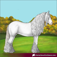 Horse Color:Perlino Dun Snowflake Varnish  and White Spotted Perlino Dun Snowflake Varnish 