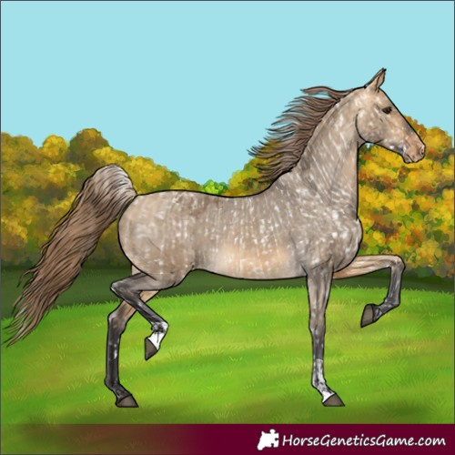 Horse Color:Buckskin Dun Snowflake Varnish  and Buckskin Dun Varnish 