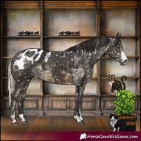 Horse Color:Silver Buckskin Mushroom Skewed Appaloosa  and Buckskin Skewed Appaloosa 