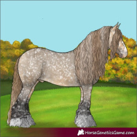 Horse Color:Buckskin Dun Snowflake Varnish and Buckskin Dun Snowflake Varnish