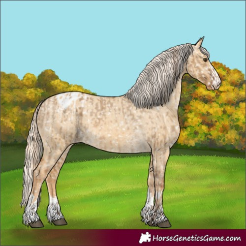 Horse Color:Chocolate Palomino Dun Appaloosa  and Palomino Dun Appaloosa 