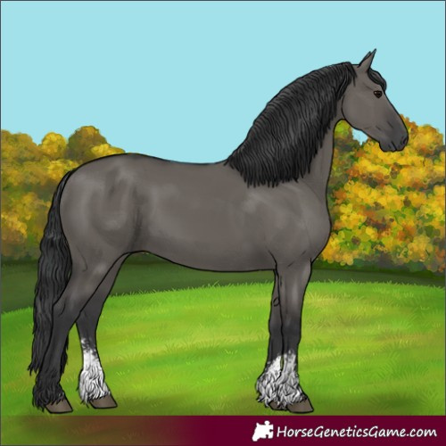 Horse Color:Grullo Sabino Rabicano 