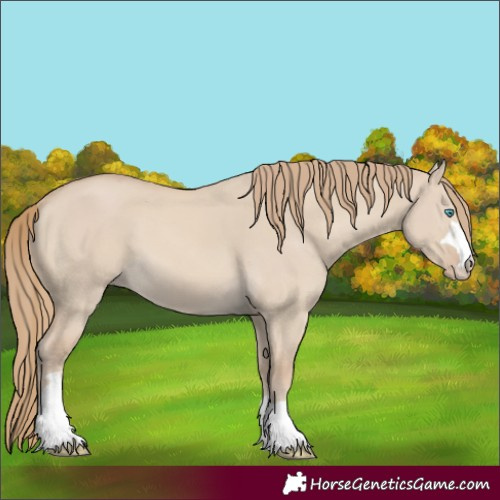 Horse Color:Smoky Creme Dun 