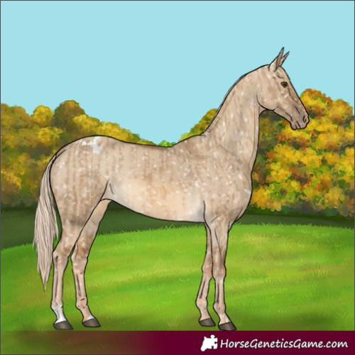 Horse Color:Chocolate Palomino Dun Snowflake Varnish  and Chocolate Palomino Dun Snowflake Varnish 