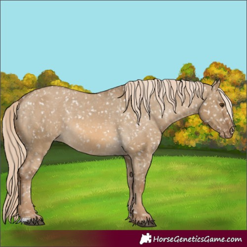 Horse Color:Chocolate Palomino Dun Snowflake Varnish and Chocolate Palomino Dun Snowflake Varnish Rabicano