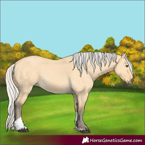 Horse Color:Silver Buckskin Dun Tobiano