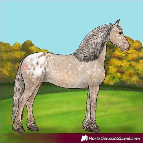 Horse Color:Chocolate Palomino Dun Blanket and Chocolate Palomino Dun Blanket
