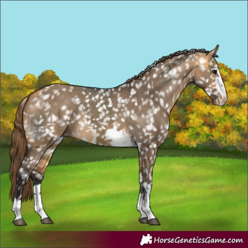 Horse Color:Buckskin Dun Snowflake Varnish  and Buckskin Dun Snowflake Varnish 