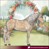 Horse Color:Chocolate Palomino Dun Mushroom Skewed Appaloosa  and Palomino Dun Mushroom Skewed Appaloosa 