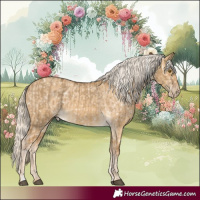 Horse Color:Chocolate Palomino Dun Mushroom Skewed Appaloosa and Palomino Dun Mushroom Skewed Appaloosa