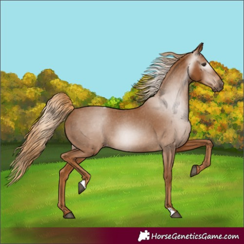 Horse Color:Gray Chestnut Varnish 