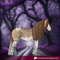Horse Color:Buckskin Dun Snowflake Varnish  and Buckskin Dun Splash Snowflake Varnish 