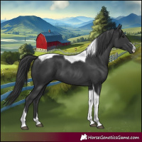 Horse Color:Black Tobiano 