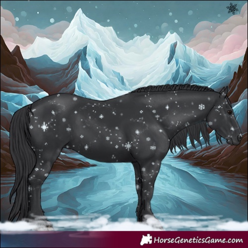 Horse Color:Black 