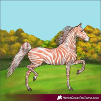 Horse Color:Palomino Tobiano 