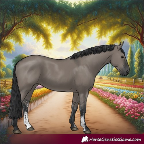 Horse Color:Grullo Sabino Rabicano 