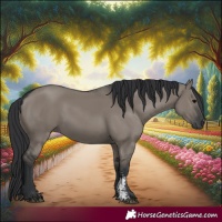 Horse Color:Grullo Sabino Rabicano 