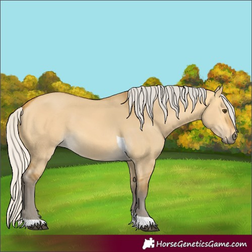 Horse Color:Silver Buckskin Dun Tobiano
