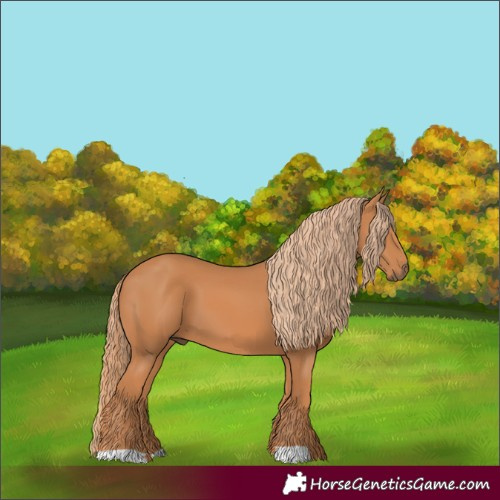 Horse Color:Chestnut 