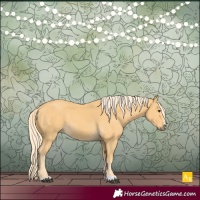 Horse Color:Palomino