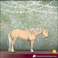 Horse Color:Palomino 