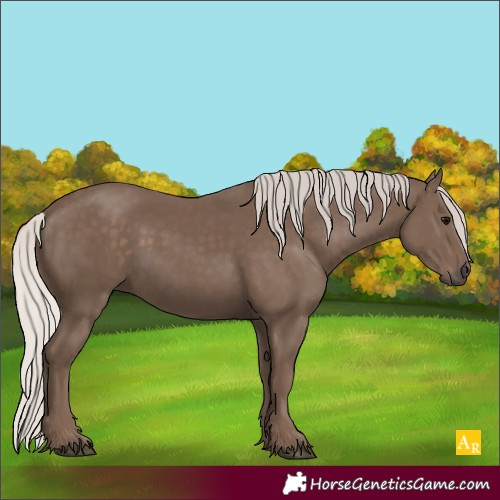 Horse Color:Silver Black