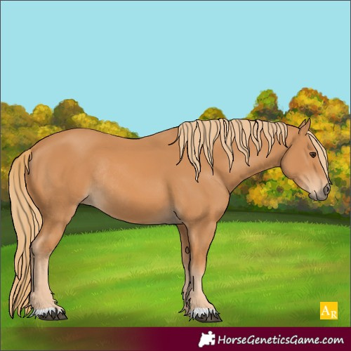 Horse Color:Chestnut Rabicano 