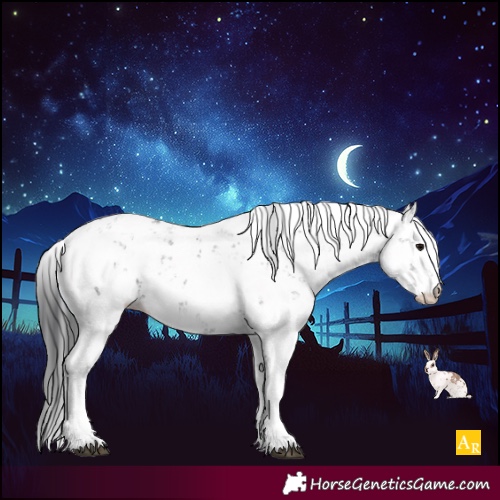 Horse Color:Black Sabino