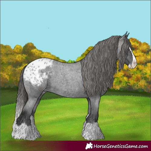 Horse Color:Blue Roan Splash Blanket 