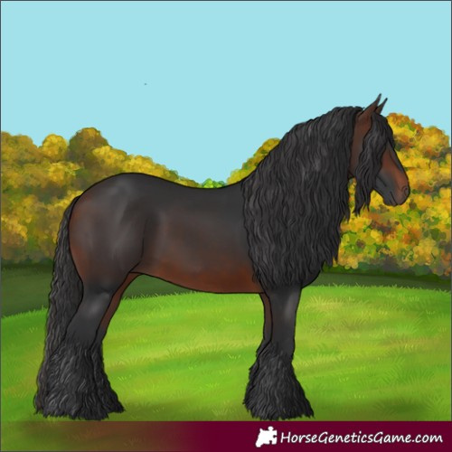Horse Color:Brown 