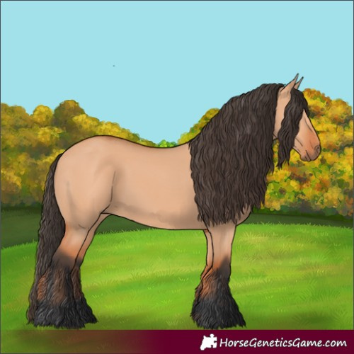 Horse Color:Bay Dun 