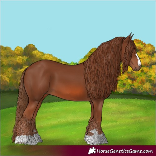 Horse Color:Chestnut 