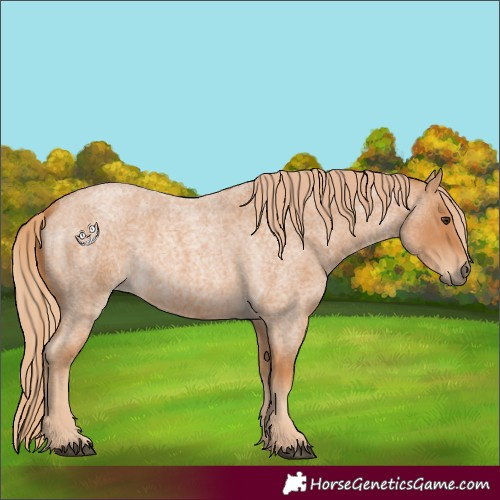 Horse Color:Red Roan 