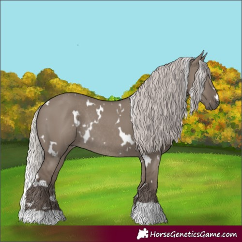 Horse Color:White Spotted Silver Grullo Rabicano 