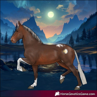 Horse Color:Silver Brown Tobiano Appaloosa