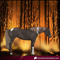 Horse Color:Liver Chestnut Tobiano Varnish 