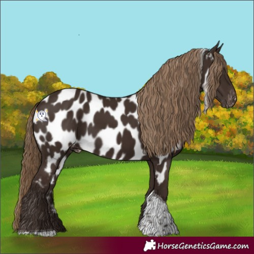 Horse Color:Liver Chestnut Tobiano Near Leopard 